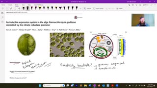 Methods in Synthetic Biology 2024: 014 Transgenic Algae