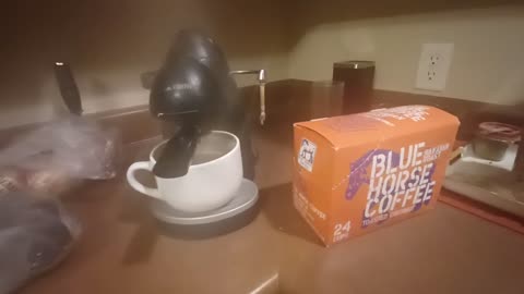 Blue Horse Coffee Taste Review: Hint This is My Second Cup