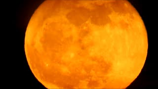 Airplane Flies Across Rising Harvest Moon