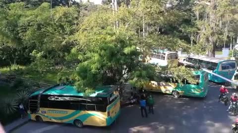 Jardín Botánico - paro de taxis y buses