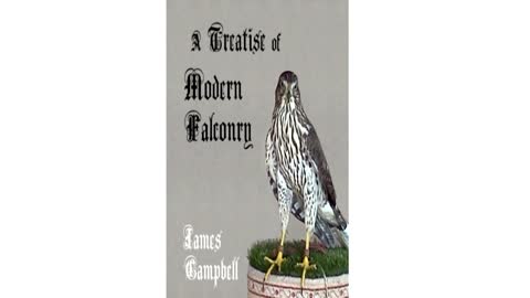 A Treatise of Modern Falconry #03