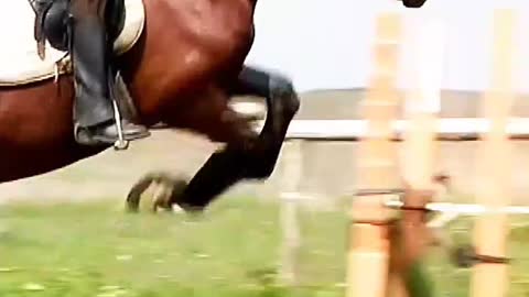 Horse Racing || Hours Riding Video || Horses are running with people #shorts #trending 🐎 💨