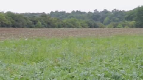 Government in Ontario is Forcing Farmers to Sell their Land...