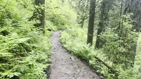 Hiking the Latourell Falls Loop – Columbia River Gorge National Scenic Area – Oregon – 4K