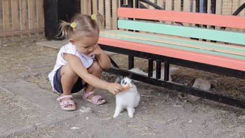 Cute little girl feeding rabbit from the hand
