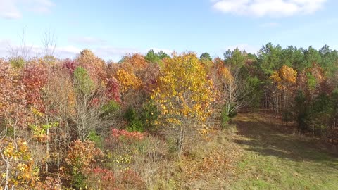 Fall Color in the Ozarks