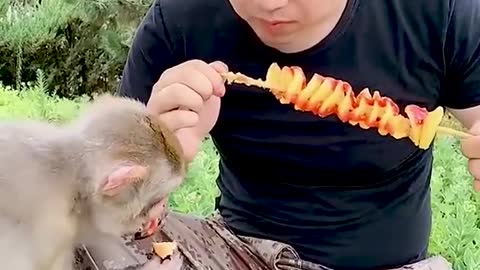 BBQ with my monkey