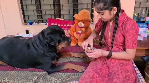 Dog favourite Teddy | cute dog video.