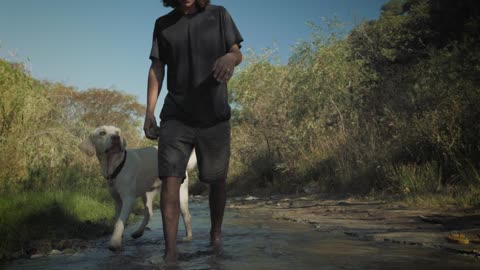 Person and dog walk in a creek