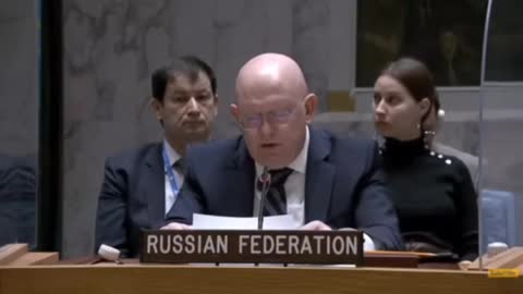 Russia Presents More Evidence of US Biolab Research in Ukraine at UN Security Council Meeting