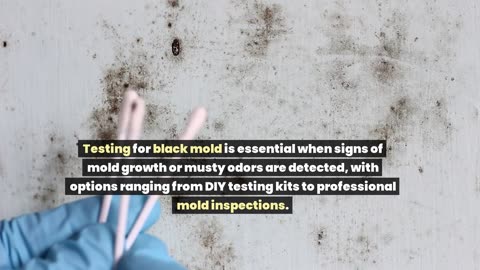 How Do You Know If You Have Black Mold?