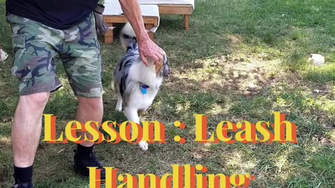 Ruff Cut PodCast Leash Handling part 2 cut aa