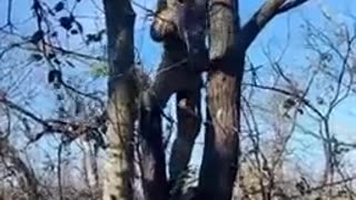 😺🇷🇺 Heartwarming Rescue | Russian Soldier Saves Cat Trapped on Tree with Metal Can | RCF