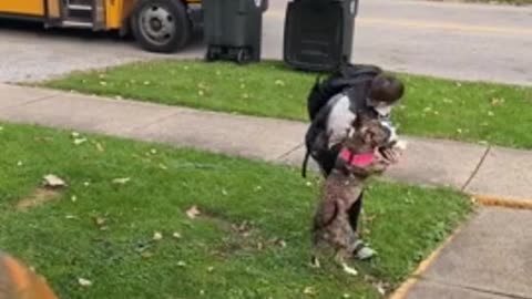 The dog eagerly awaits the best friend's return home from school