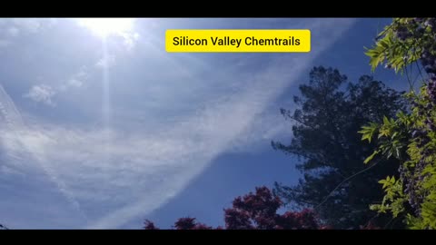 Silicon Valley Chemtrails