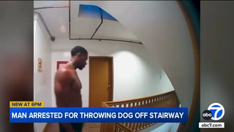 LAPD arrests man suspected of dropping dog down stairwell in Koreatown