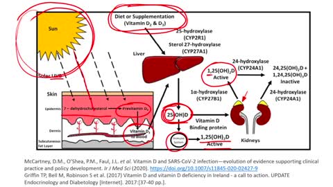 Vitamin D and COVID 19 The Evidence for Prevention and Treatment of Coronavirus SARS CoV 2