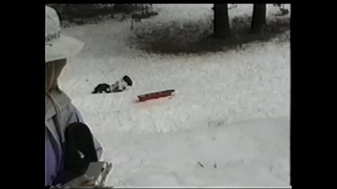 Woman Takes A Hard Bump And Wrecks Her Sled