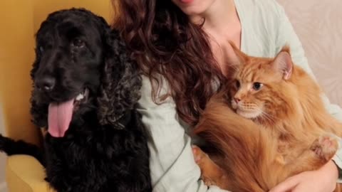 Dog and cat loves for women amazing video I like