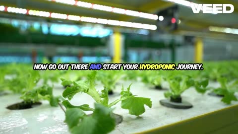 Hydroponics Tips for Beginners