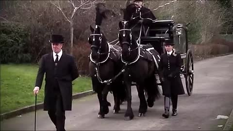 MUST WATCH!!! UK Funeral Director John O'Looney Blows the Whistle on Covid