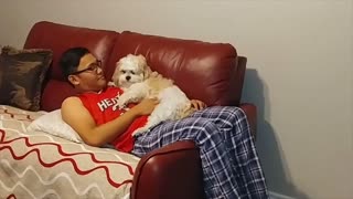 Cutie Small Dog - Playful Kisses and Playing