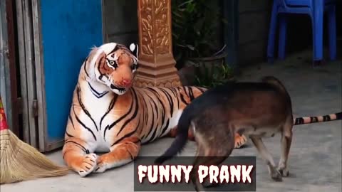Funny tiger soft toy prank of animals compilation