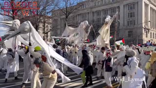 Strange bird people in attendance among tens of thousands #March4Gaza protest in DC