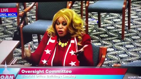 Michigan State Senate Oversight Committee - WE NEED MORE PATRIOTS LIKE HER