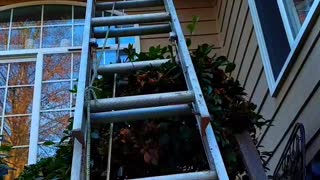 Using an extension ladder stabilizer to climb onto your roof.