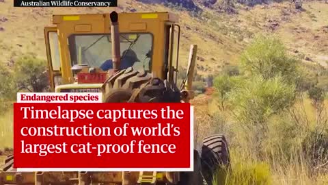 Building the world’s largest cat-proof fence
