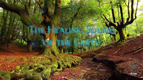 The healing sound of the Earth