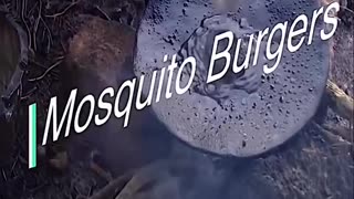 Mosquito Burgers?