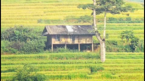 big mountain meadow and house