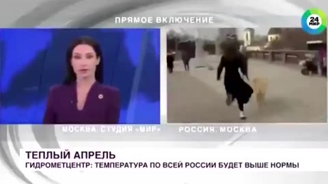 Dog grabs reporter's microphone and runs away during a live broadcast