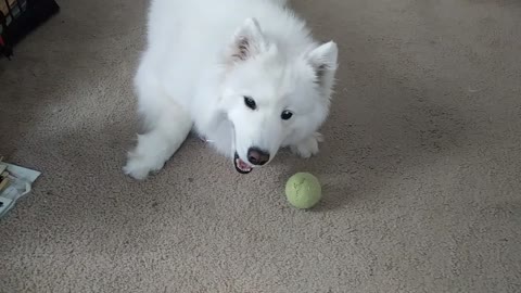 Lazy Fetch