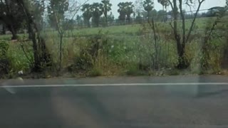 Man Kicks Car Window While Driving