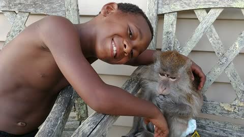 Monkey paralyzes boy with a simple touch