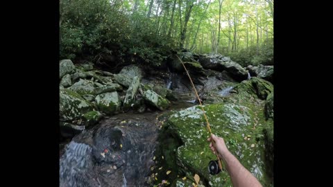 Brook trout fishing, Pisgah National forest 9-29-23