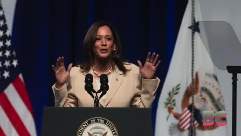 Harris clinches Democratic nomination, DNC announces