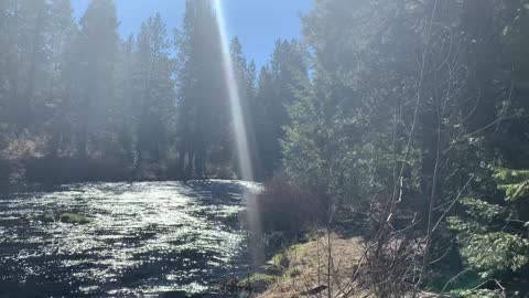 The Sun Glistening Off Peaceful Metolius River – Central Oregon