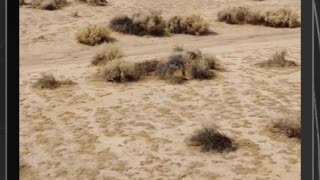 La gran oportunidad de invertir en este terreno: ¡Empieza a construir tu futuro ahora mismo!