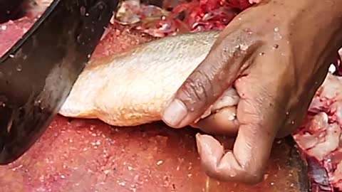 Amazing Red Poa fish cutting skills in fish market ll expert fish cutting skills