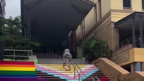 Avoid Gay Stairs