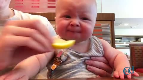 baby trying a lemon for the first time so cute #baby #usababy #cuteuk
