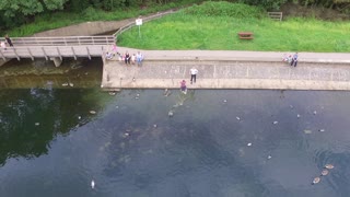Guy Saves Drone From Falling Into The Water