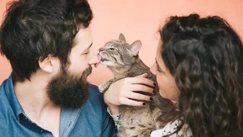 10 Signs That Your Cat Loves You