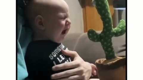 Wholesome Baby-Cactus Encounter: Adorable Interaction 🌵👶💃