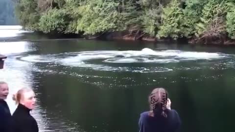 Whales in the garden Canada