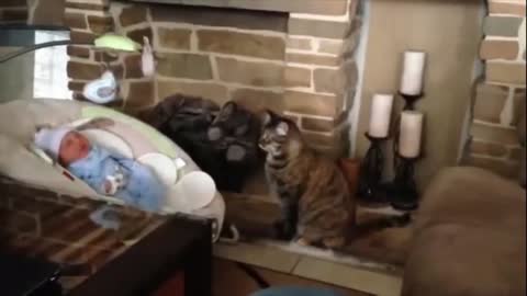Cats Meeting Babies for the First Time No 1